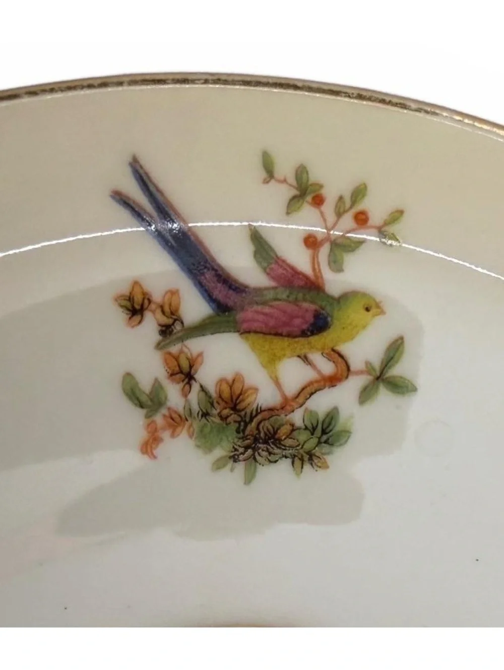 Vintage Bohemia Eden Czechoslovakia Bird Floral Porcelain Saucer Gold Trim